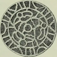 An illustration from Die altgermanische thierornamentik; typologische studie über germanische metallgegenstände aus dem IV. bis IX. jahrhundert, nebst einer studie über irische ornamentik (1904)