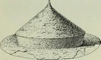 An illustration from Die altgermanische thierornamentik; typologische studie über germanische metallgegenstände aus dem IV. bis IX. jahrhundert, nebst einer studie über irische ornamentik (1904)