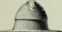 An illustration from Die altgermanische thierornamentik; typologische studie über germanische metallgegenstände aus dem IV. bis IX. jahrhundert, nebst einer studie über irische ornamentik (1904)