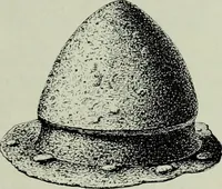 An illustration from Die altgermanische thierornamentik; typologische studie über germanische metallgegenstände aus dem IV. bis IX. jahrhundert, nebst einer studie über irische ornamentik (1904)