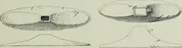 An illustration from Die altgermanische thierornamentik; typologische studie über germanische metallgegenstände aus dem IV. bis IX. jahrhundert, nebst einer studie über irische ornamentik (1904)