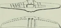 An illustration from Die altgermanische thierornamentik; typologische studie über germanische metallgegenstände aus dem IV. bis IX. jahrhundert, nebst einer studie über irische ornamentik (1904)
