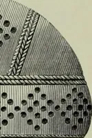 An illustration from Die altgermanische thierornamentik; typologische studie über germanische metallgegenstände aus dem IV. bis IX. jahrhundert, nebst einer studie über irische ornamentik (1904)