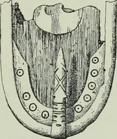 An illustration from Die altgermanische thierornamentik; typologische studie über germanische metallgegenstände aus dem IV. bis IX. jahrhundert, nebst einer studie über irische ornamentik (1904)
