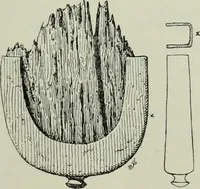 An illustration from Die altgermanische thierornamentik; typologische studie über germanische metallgegenstände aus dem IV. bis IX. jahrhundert, nebst einer studie über irische ornamentik (1904)
