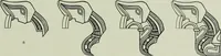 An illustration from Die altgermanische thierornamentik; typologische studie über germanische metallgegenstände aus dem IV. bis IX. jahrhundert, nebst einer studie über irische ornamentik (1904)