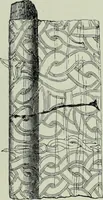 An illustration from Die altgermanische thierornamentik; typologische studie über germanische metallgegenstände aus dem IV. bis IX. jahrhundert, nebst einer studie über irische ornamentik (1904)