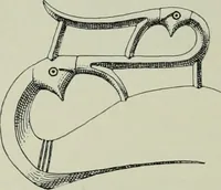 An illustration from Die altgermanische thierornamentik; typologische studie über germanische metallgegenstände aus dem IV. bis IX. jahrhundert, nebst einer studie über irische ornamentik (1904)