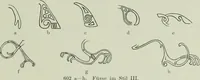 An illustration from Die altgermanische thierornamentik; typologische studie über germanische metallgegenstände aus dem IV. bis IX. jahrhundert, nebst einer studie über irische ornamentik (1904)