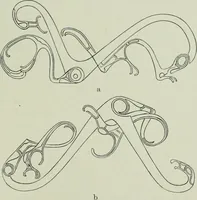 An illustration from Die altgermanische thierornamentik; typologische studie über germanische metallgegenstände aus dem IV. bis IX. jahrhundert, nebst einer studie über irische ornamentik (1904)