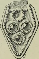 An illustration from Die altgermanische thierornamentik; typologische studie über germanische metallgegenstände aus dem IV. bis IX. jahrhundert, nebst einer studie über irische ornamentik (1904)