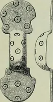 An illustration from Die altgermanische thierornamentik; typologische studie über germanische metallgegenstände aus dem IV. bis IX. jahrhundert, nebst einer studie über irische ornamentik (1904)