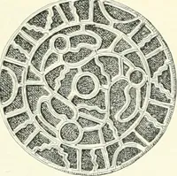 An illustration from Die altgermanische Thierornamentik : typologische Studie über germanische Metallgegenstände aus dem IV. bis IX. Jahrhundert, nebst einer Studie über irische Ornamentik (1904)