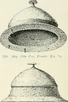Picture 131 of 382 from Die altgermanische Thierornamentik : typologische Studie über germanische Metallgegenstände aus dem IV. bis IX. Jahrhundert, nebst einer Studie über irische Ornamentik (1904), leaf 115