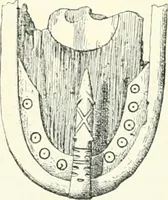 An illustration from Die altgermanische Thierornamentik : typologische Studie über germanische Metallgegenstände aus dem IV. bis IX. Jahrhundert, nebst einer Studie über irische Ornamentik (1904)