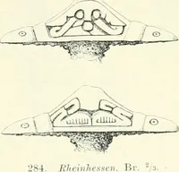Picture 155 of 382 from Die altgermanische Thierornamentik : typologische Studie über germanische Metallgegenstände aus dem IV. bis IX. Jahrhundert, nebst einer Studie über irische Ornamentik (1904), leaf 130