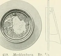 Picture 207 of 382 from Die altgermanische Thierornamentik : typologische Studie über germanische Metallgegenstände aus dem IV. bis IX. Jahrhundert, nebst einer Studie über irische Ornamentik (1904), leaf 201