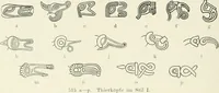 Picture 256 of 382 from Die altgermanische Thierornamentik : typologische Studie über germanische Metallgegenstände aus dem IV. bis IX. Jahrhundert, nebst einer Studie über irische Ornamentik (1904), leaf 243