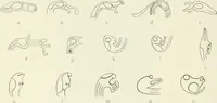 An illustration from Die altgermanische Thierornamentik : typologische Studie über germanische Metallgegenstände aus dem IV. bis IX. Jahrhundert, nebst einer Studie über irische Ornamentik (1904)