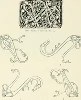 An illustration from Die altgermanische Thierornamentik : typologische Studie über germanische Metallgegenstände aus dem IV. bis IX. Jahrhundert, nebst einer Studie über irische Ornamentik (1904)