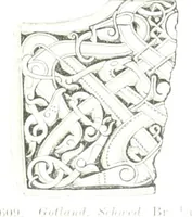 Picture 312 of 382 from Die altgermanische Thierornamentik : typologische Studie über germanische Metallgegenstände aus dem IV. bis IX. Jahrhundert, nebst einer Studie über irische Ornamentik (1904), leaf 300
