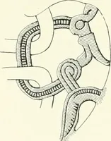An illustration from Die altgermanische Thierornamentik : typologische Studie über germanische Metallgegenstände aus dem IV. bis IX. Jahrhundert, nebst einer Studie über irische Ornamentik (1904)