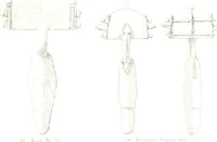 Picture 11 of 382 from Die altgermanische Thierornamentik : typologische Studie über germanische Metallgegenstände aus dem IV. bis IX. Jahrhundert, nebst einer Studie über irische Ornamentik (1904), leaf 36
