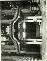 An illustration from Die Architektur der Kultbauten Japans (1907)