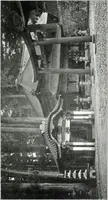 An illustration from Die Architektur der Kultbauten Japans (1907)