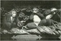 An illustration from Die Architektur der Kultbauten Japans (1907)