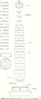 An illustration from Die Architektur der Kultbauten Japans (1907)