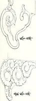 An illustration from Die Architektur der Kultbauten Japans (1907)