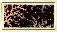 Picture 11 of 18 from Die auf der Faser erzeugten unlöslichen Azofarben (1898), leaf 48