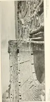 An illustration from Die Baukunst des Altertums (1910)