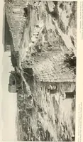 An illustration from Die Baukunst des Altertums (1910)