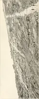 An illustration from Die Baukunst des Altertums (1910)