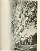 An illustration from Die Baukunst des Altertums (1910)