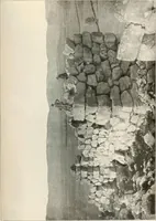 An illustration from Die Baukunst des Altertums (1910)