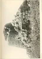 Picture 222 of 253 from Die Baukunst des Altertums (1910), leaf 469