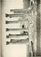 An illustration from Die Baukunst des Altertums (1910)
