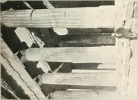 An illustration from Die Baukunst des Altertums (1910)