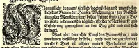 An illustration from Die Baumeisterin Pallas, oder, Der in Teutschland erstandene Palladius : das ist, des vortrefflich-italiänischen Baumeisters Andreae Palladii ziven Bücher von der Bau-Kunst ... : ins Teutsche nach dem Italiänischen übersetzet, mit nothwendigen additionibus und notis, auch dazu gehörigen Figuren erbaulich ausgerüstet, und zum erstenmal an den Tag gegeben (1698)
