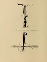 An illustration from Die Bau- und Kunstdenkmäler des Kreises Dortmund-Land (1895)