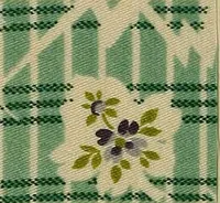 An illustration from Die Biezenfarbstoffe der Fabriken vorm. Friedr. Bayer & Co., Elberfeld, auf dem Gebiet der Fruckerei und Färberei (1901)