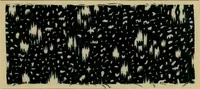 An illustration from Die Biezenfarbstoffe der Fabriken vorm. Friedr. Bayer & Co., Elberfeld, auf dem Gebiet der Fruckerei und Färberei (1901)