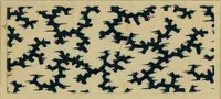 Picture 51 of 239 from Die Biezenfarbstoffe der Fabriken vorm. Friedr. Bayer & Co., Elberfeld, auf dem Gebiet der Fruckerei und Färberei (1901), leaf 121