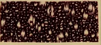 An illustration from Die Biezenfarbstoffe der Fabriken vorm. Friedr. Bayer & Co., Elberfeld, auf dem Gebiet der Fruckerei und Färberei (1901)