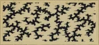 Picture 106 of 239 from Die Biezenfarbstoffe der Fabriken vorm. Friedr. Bayer & Co., Elberfeld, auf dem Gebiet der Fruckerei und Färberei (1901), leaf 175