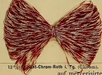 An illustration from Die Biezenfarbstoffe der Fabriken vorm. Friedr. Bayer & Co., Elberfeld, auf dem Gebiet der Fruckerei und Färberei (1901)