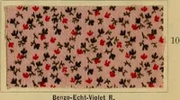 Picture 153 of 239 from Die Biezenfarbstoffe der Fabriken vorm. Friedr. Bayer & Co., Elberfeld, auf dem Gebiet der Fruckerei und Färberei (1901), leaf 229